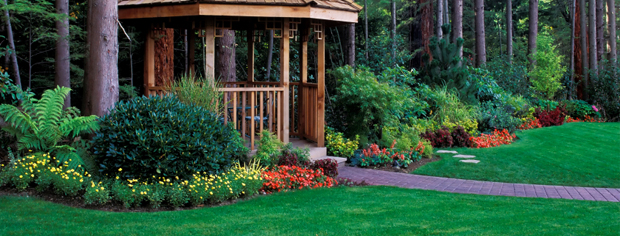 Landscaping and Lawncare Services